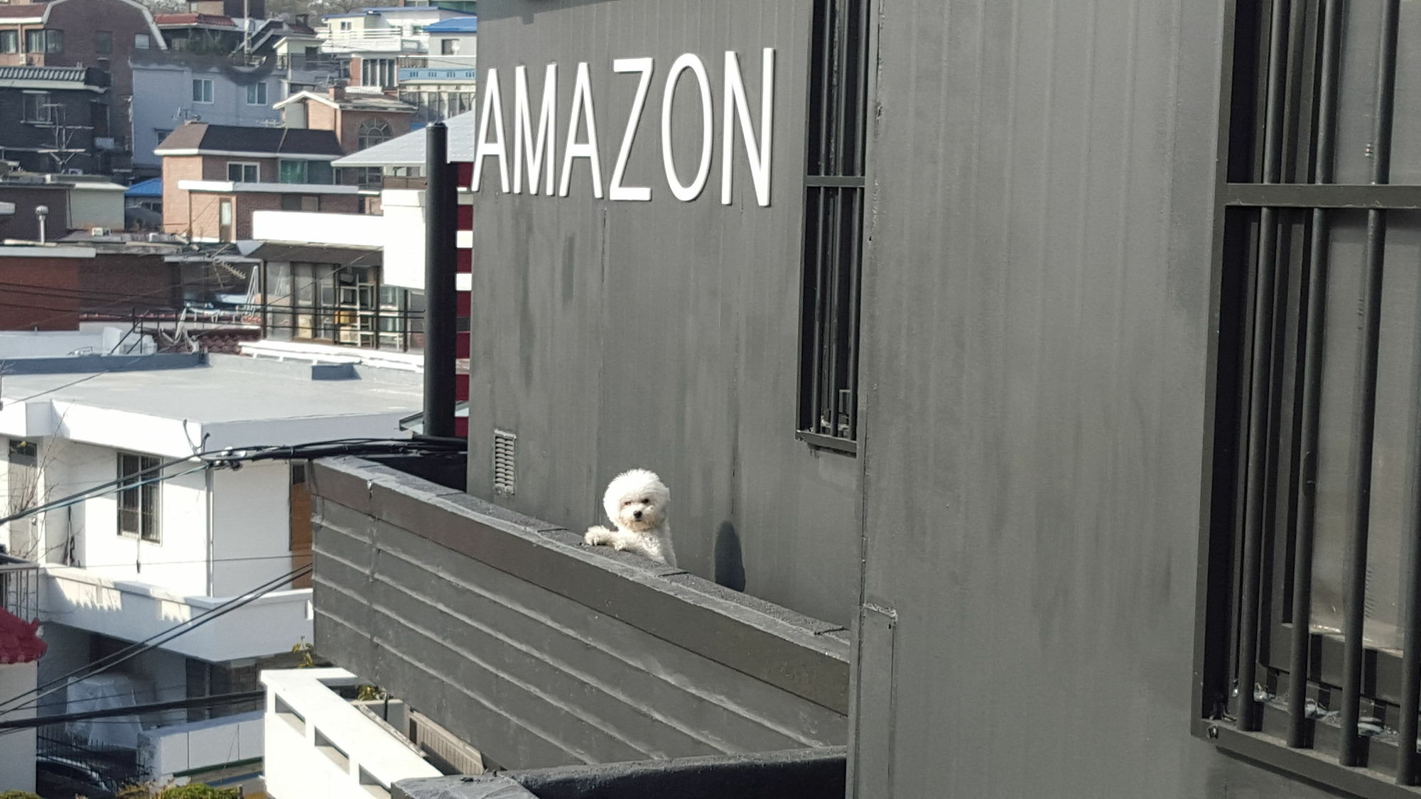 Amazon Guesthouse Soul Exteriér fotografie